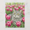 Recherche de chaton rose cartes postales Pour tous