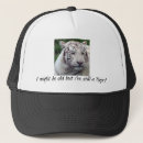 Recherche de grands chats casquettes Félin