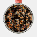 Recherche de papillon de monarque ornements Insecte