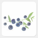 Recherche de de cuisine de baies autocollants Pour elle