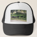 Recherche de herbe casquettes Animal