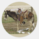 Recherche de burro autocollants Animal