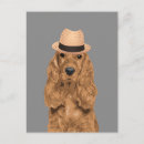 Recherche de cockers cartes postales Toute personne