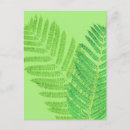 Recherche de feuille de fougère cartes postales Vert