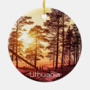 Recherche de le soleil du bois Arbres