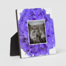 Recherche de lilas plaques Rose