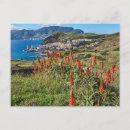 Recherche de madeira cartes postales Île de madeira
