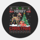 Recherche de de noël de malinois Xmas