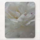 Recherche de dentelles photographie Blanc