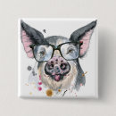 Recherche de de porc badges Animal