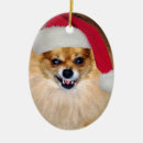 Recherche de pomeranian ornements Drôle