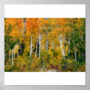 Recherche de brouillard art Automne