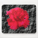 Recherche de oeillet électronique Carnation