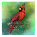 Recherche de cardinal rouge art beau