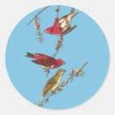 Recherche de finch autocollants Oiseau