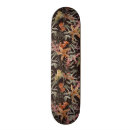Recherche de vintage comp skateboards Mer