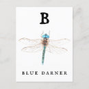 Recherche de illustration de libellule cartes postales Nature