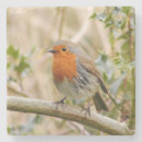 Recherche de robin dessous de verres Nature