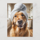 Recherche de spas cartes postales Pour tous