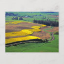 Recherche de canola posters Charles gurche