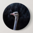 Recherche de autruche badges Drôle