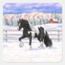 Recherche de chevaux dressage autocollants Cheval de dressage