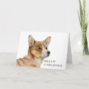 Recherche de corgi vœux cartes Chien