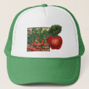 Recherche de fraise casquettes Baies