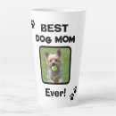 Recherche de chien tasses Pour animaux