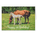 Recherche de photographies de cheval Animal de ferme