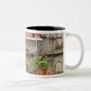 Recherche de adams tasses Californie