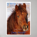 Recherche de morgan posters Cheval