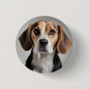 Recherche de beagle badges Animal