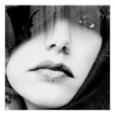 Recherche de étalon noir posters Noir et blanc