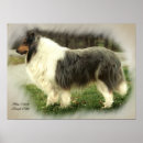 Recherche de merle art Animaux domestiques