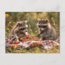 Recherche de cute raccoon cartes postales Nature