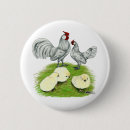 Recherche de poussin badges Oiseau