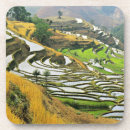 Recherche de culture dessous de verres Automne