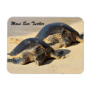 Recherche de turtle magnets Honu