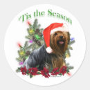 Recherche de yorkshire terrier autocollants Dog