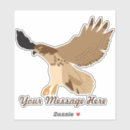 Recherche de queue rouge Rapaces