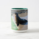 Recherche de otaries tasses Mer