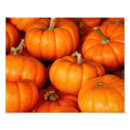 Recherche de abondance posters Récolte