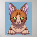 Recherche de chaton adorable posters Miauler