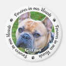 Recherche de perte de mémoire magnets Chien