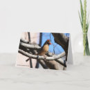 Recherche de observation des oiseaux vœux cartes Observateurs d'oiseaux
