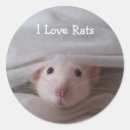 Recherche de rats autocollants Animal familier