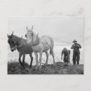 Recherche de biologique cartes postales Français