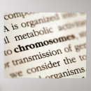 Recherche de chromosome posters Science