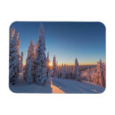 Recherche de fantôme magnets Arbre